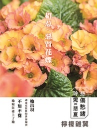 恶质是什么意思
